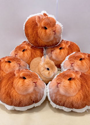 Eggie Pillow