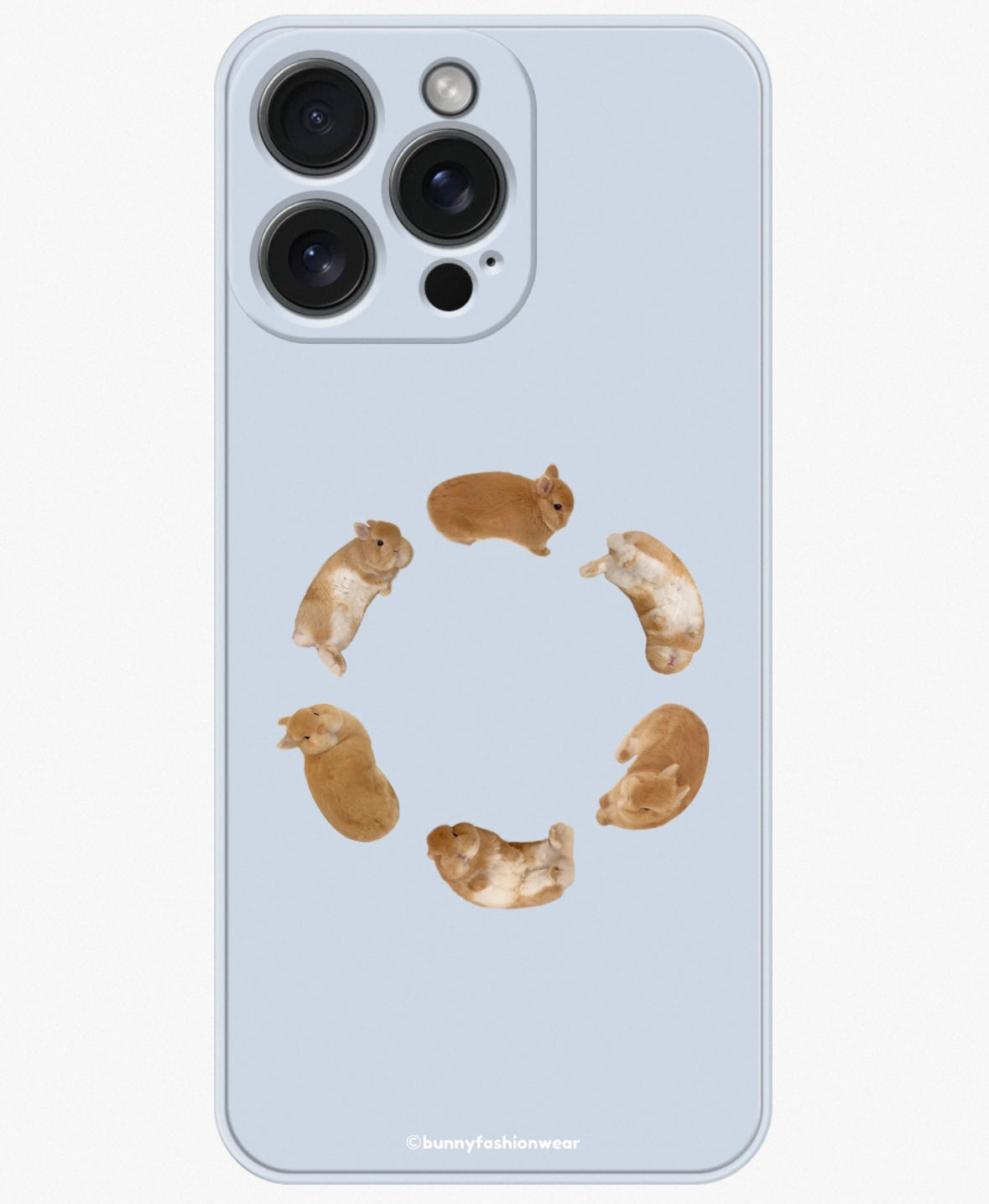 Pre-order. Eggroll iPhone case, MagSafe compatible