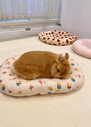 Ballerina bunny Bed