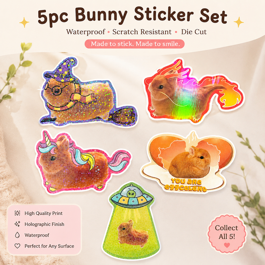 Set of 5 Large Holographic Vinyl stickers 20% OFF