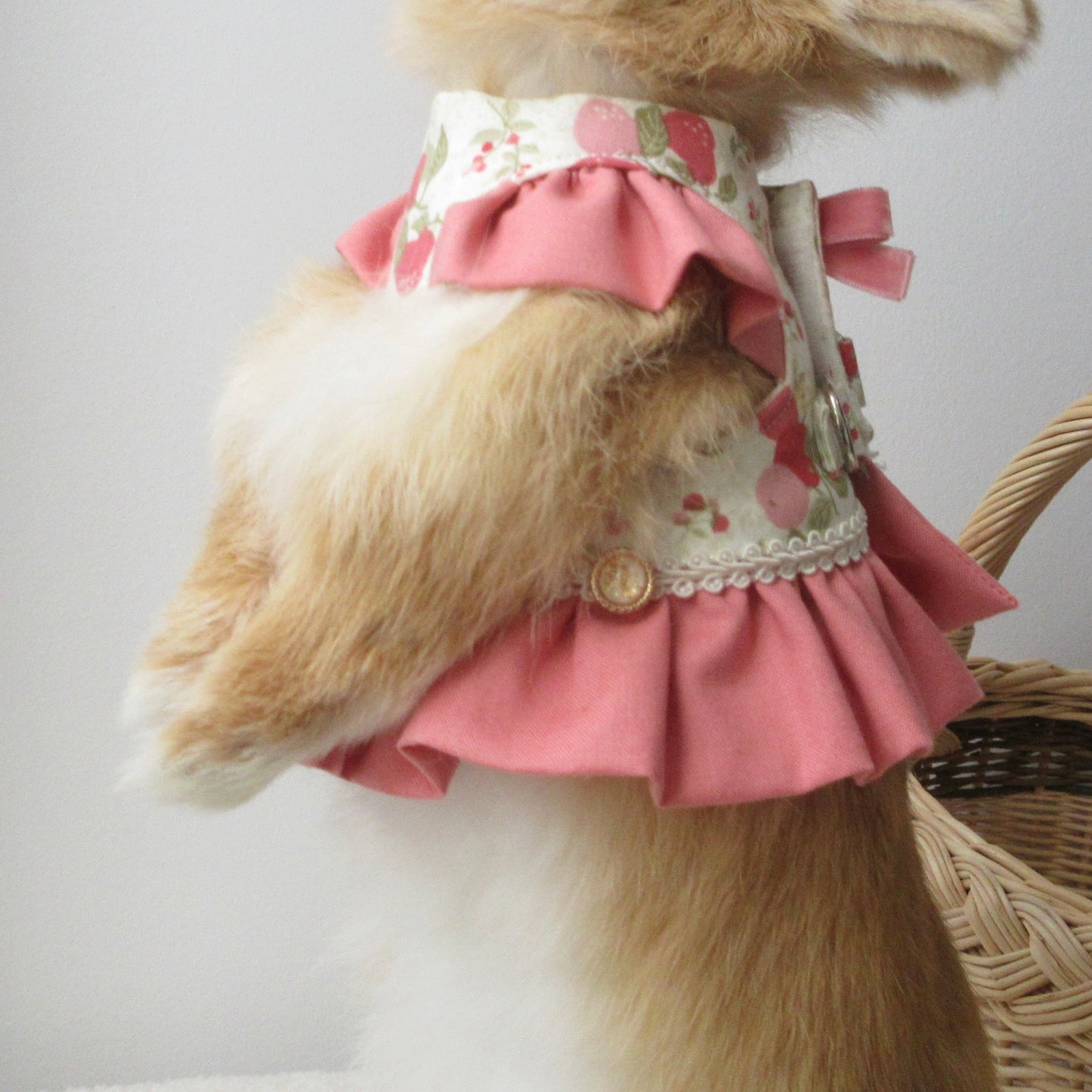 Pre-order. Pink Fruit Lace Dress/Harness