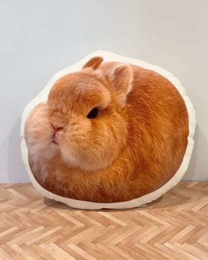 Egging Pillow Restocking in June