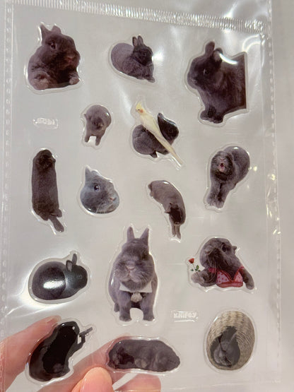 Bobi Gel Sticker Sheet