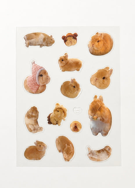 Eggie Gel Sticker Sheet
