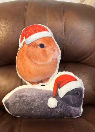 Eggie Bobi Pillow