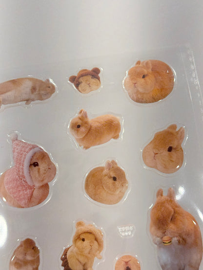 Eggie Gel Sticker Sheet