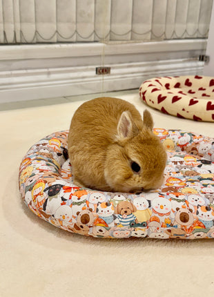 Cute animal bunny Bed