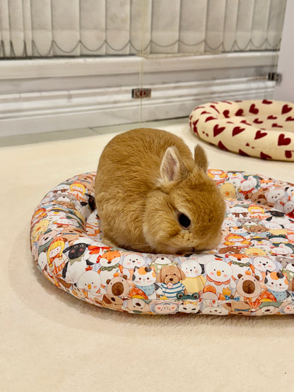 Fairy Tale World bunny Bed, Large