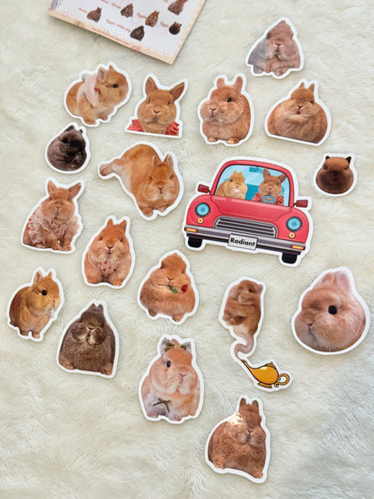 The Egg Family stickers 18 pack