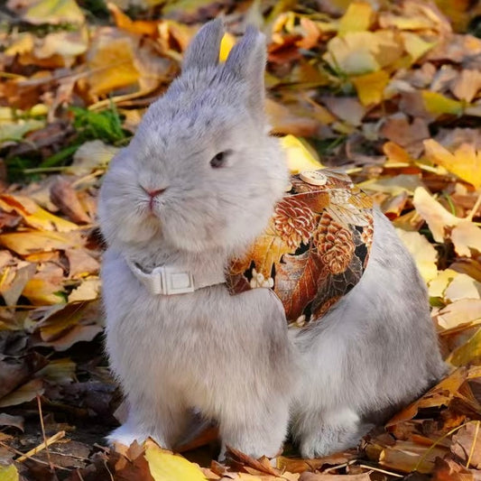 Maple Leaf Bunny Vest/ Adjustable Harness