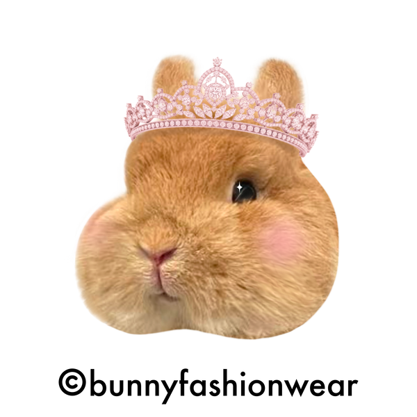 Bunny Fashion Wear