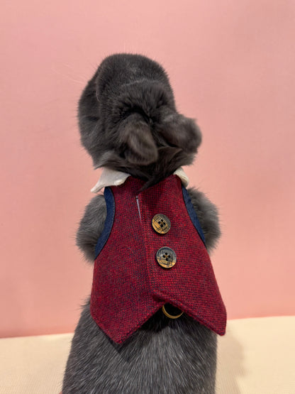 Burgundy Suit and Tie pet bunny rabbit Vest/3D Non-Adjustable Harness