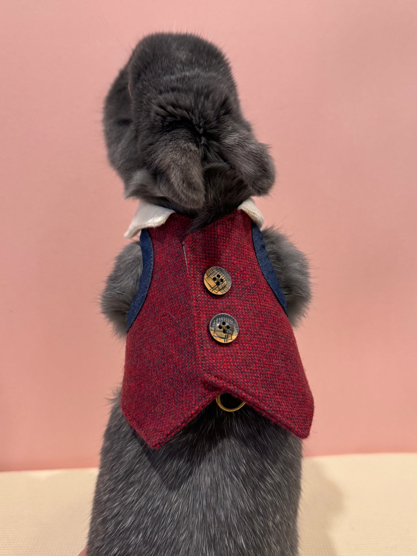 Burgundy Suit and Tie pet bunny rabbit Vest/3D Non-Adjustable Harness