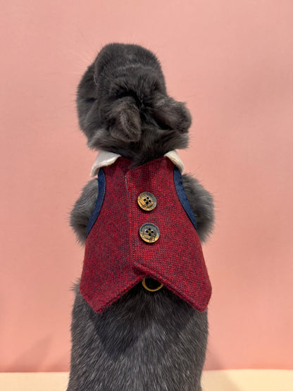 Burgundy Suit and Tie pet bunny rabbit Vest/3D Non-Adjustable Harness