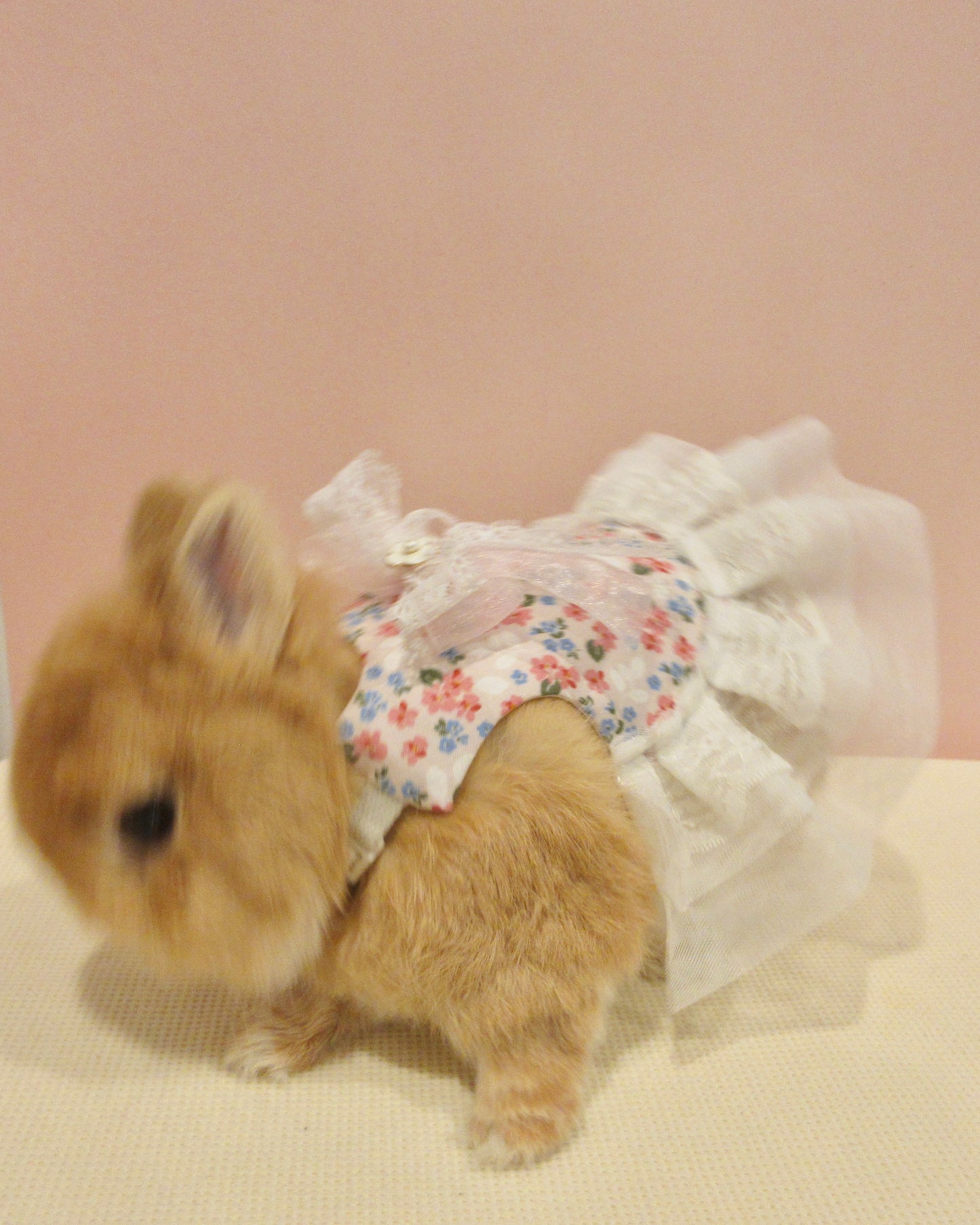 Pink Sakura Lace Pet Bunny Dress/ Adjustable Harness