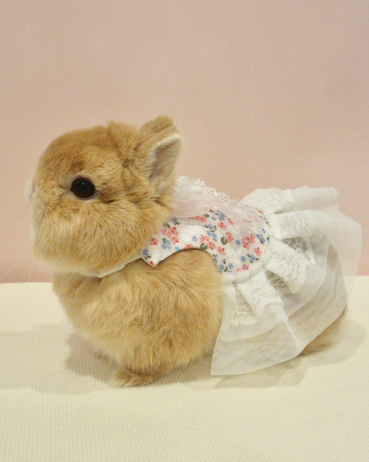 Pink Sakura Lace Pet Bunny Dress/ Adjustable Harness