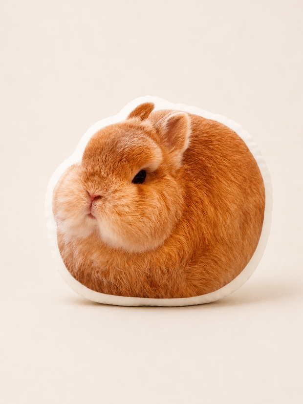 A round plush pillow featuring a printed design of a fluffy orange-brown rabbit with white fur details, set against a solid light beige background.