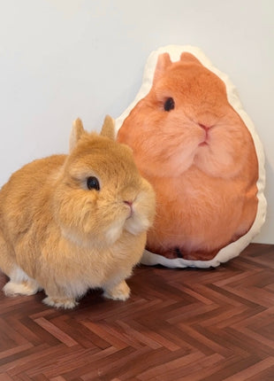 A small fluffy light brown rabbit stands on a wood floor in front of a large plush pillow shaped like a round rabbit face, against a plain light wall.