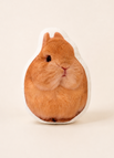 Good Egg Pillow