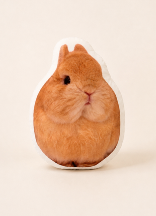 A novelty cushion shaped like a fluffy orange-brown rabbit, featuring a printed photo of a real rabbit on the front, set against a solid off-white background.