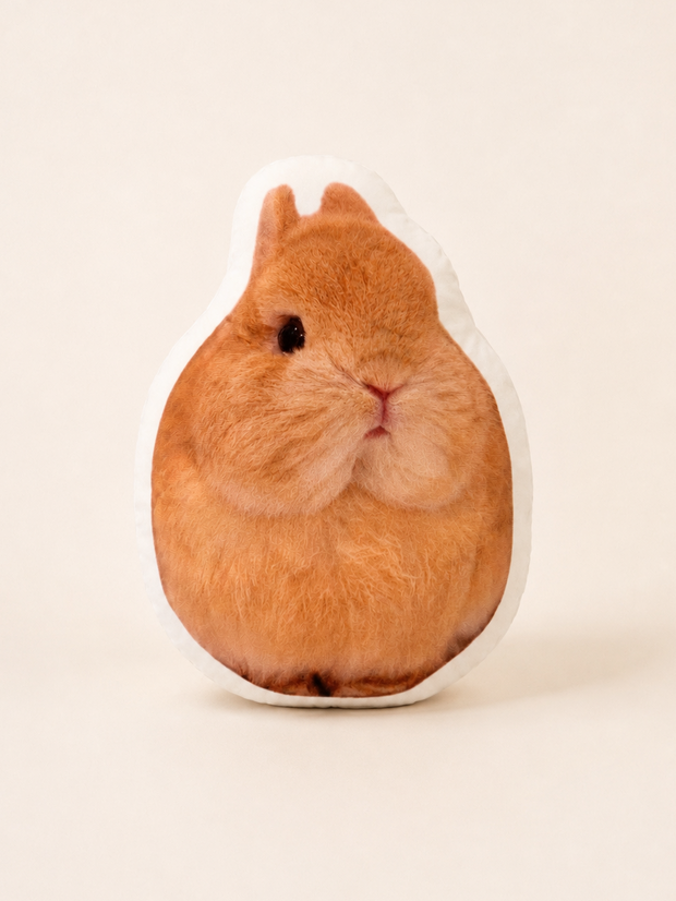A novelty cushion shaped like a fluffy orange-brown rabbit, featuring a printed photo of a real rabbit on the front, set against a solid off-white background.