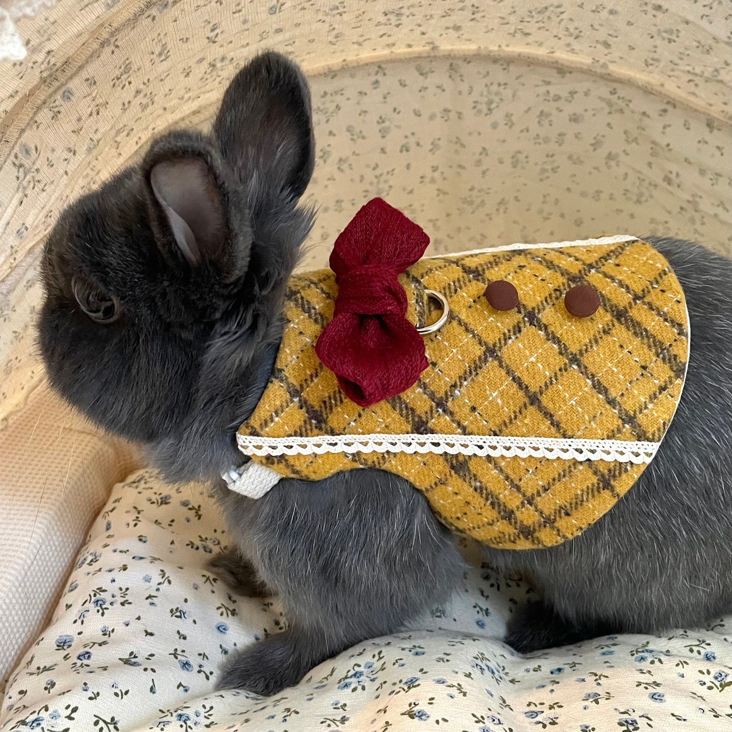 Autumn Ginkgo Wool Short Dress for Pet Bunny/ adjustable harness