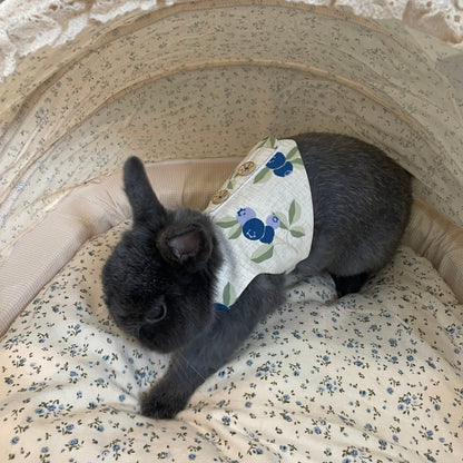 Blueberry Vest, Pet Bunny Dress/ Adjustable Harness