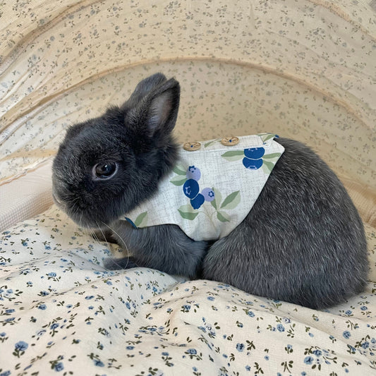 Blueberry Vest, Pet Bunny Dress/ Adjustable Harness