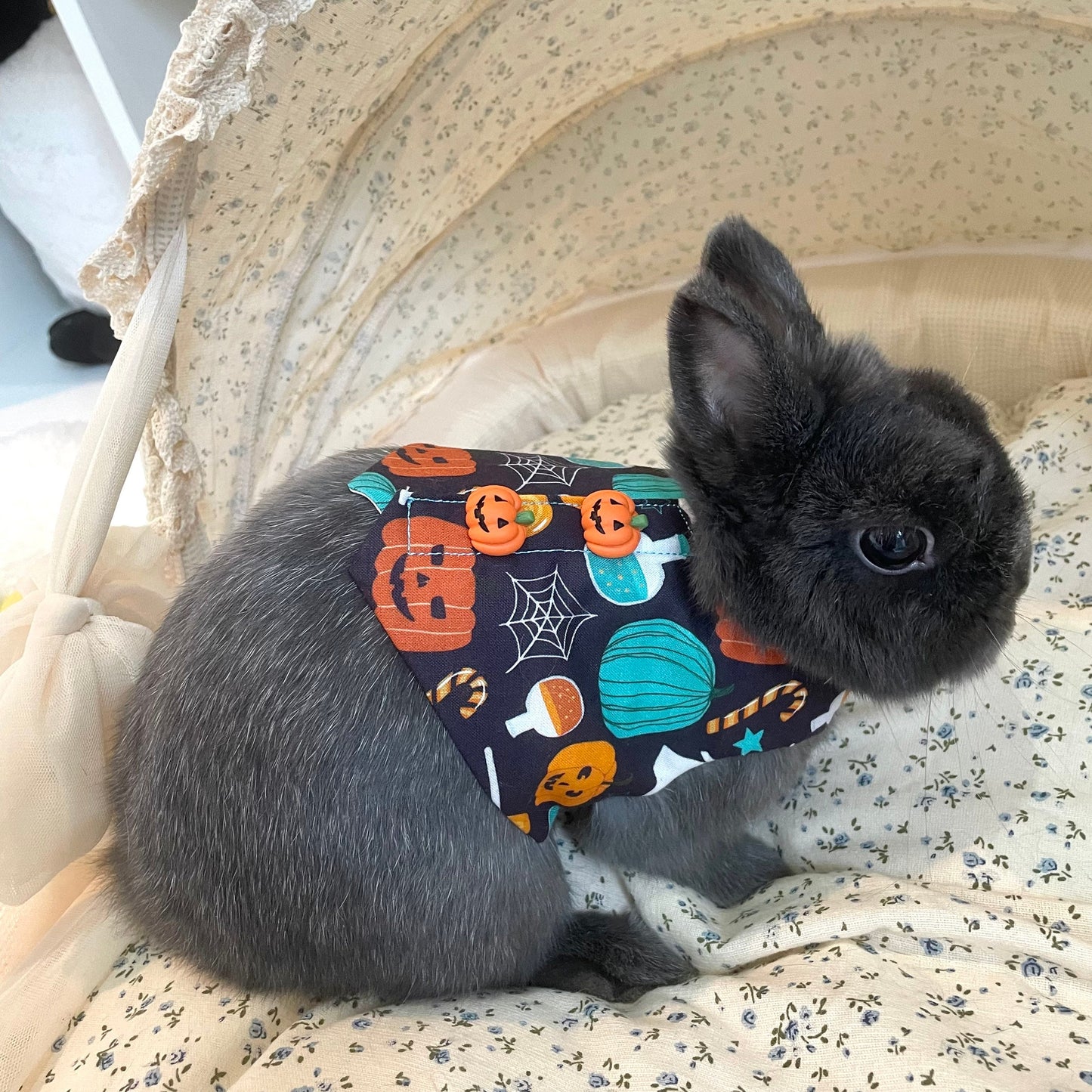 Pumpkin Vest, Pet Bunny Harness/Vest, Bunny Small Pet Harness, Rabbit Clothing Dress, Chinchilla Guinea Pig
