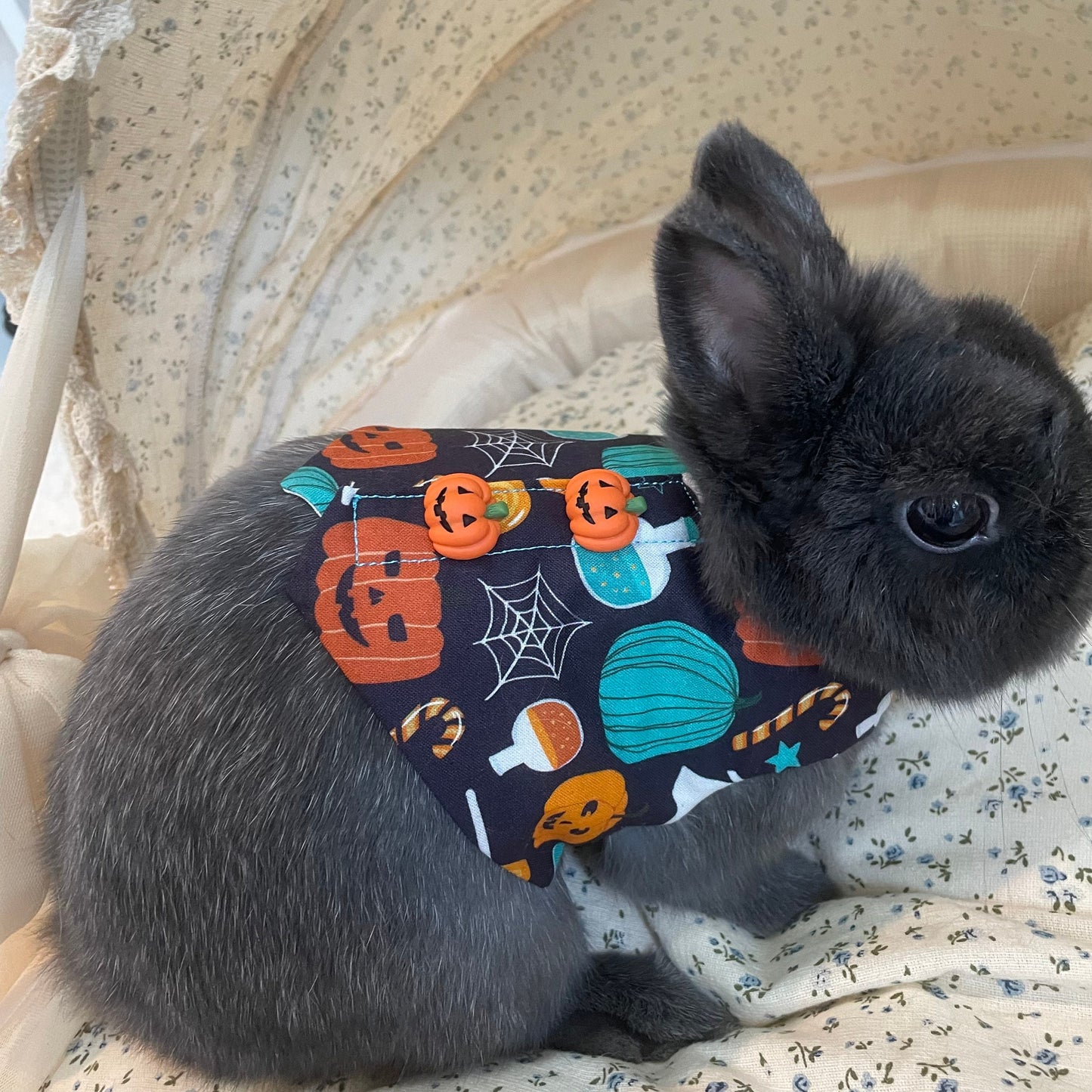 Pumpkin Vest, Pet Bunny Harness/Vest, Bunny Small Pet Harness, Rabbit Clothing Dress, Chinchilla Guinea Pig