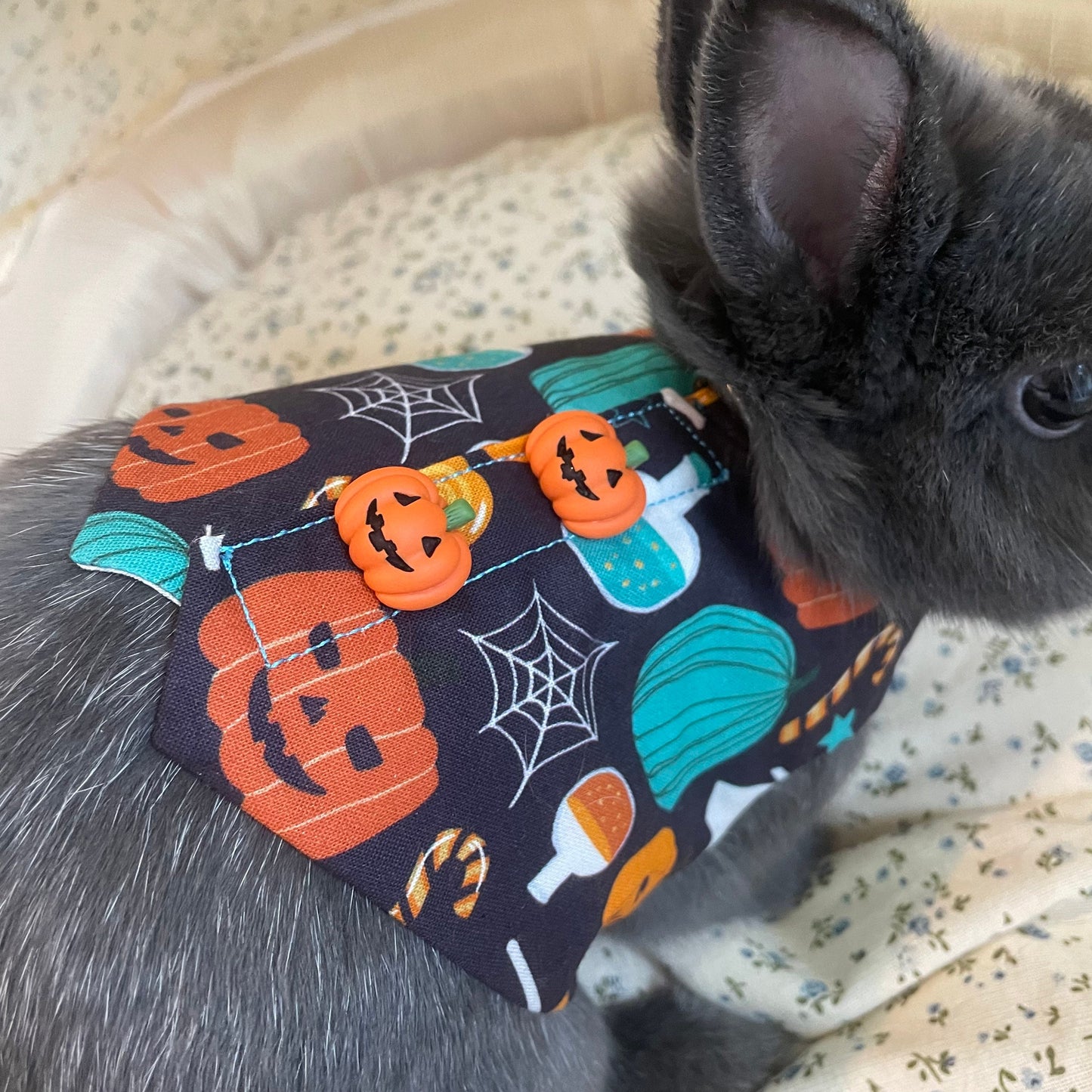 Pumpkin Vest, Pet Bunny Harness/Vest, Bunny Small Pet Harness, Rabbit Clothing Dress, Chinchilla Guinea Pig