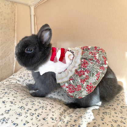 Cranberry Dress Pet Bunny Dress/ Adjustable Harness