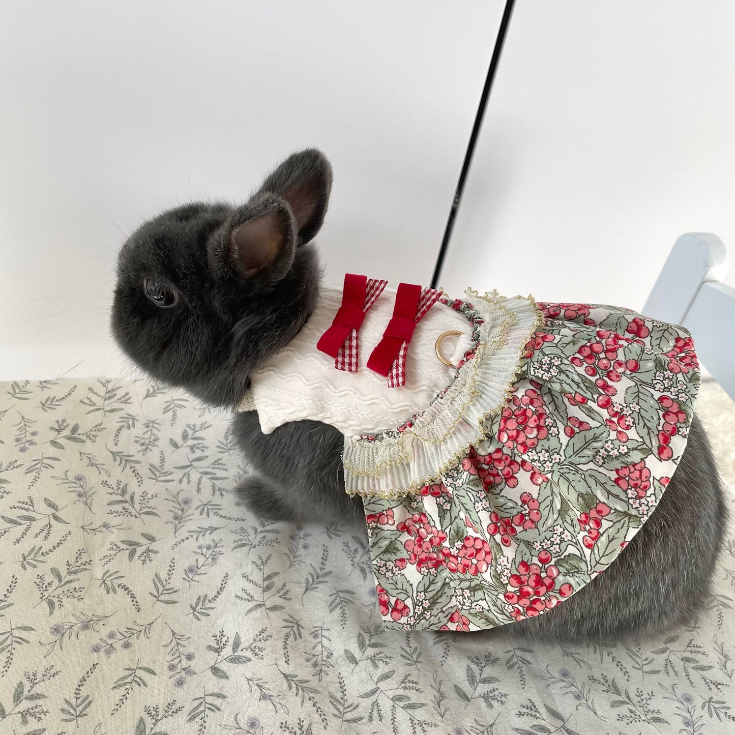 Cranberry Dress Pet Bunny Dress/ Adjustable Harness