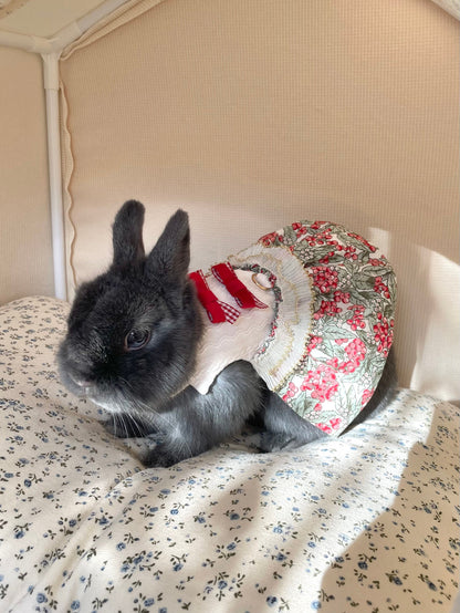 Cranberry Dress Pet Bunny Dress/ Adjustable Harness