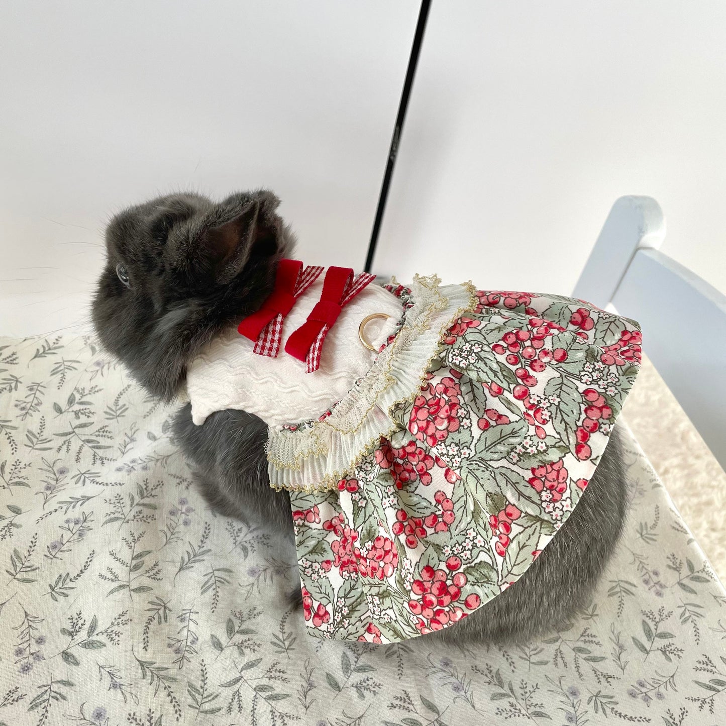 Cranberry Dress Pet Bunny Dress/ Adjustable Harness