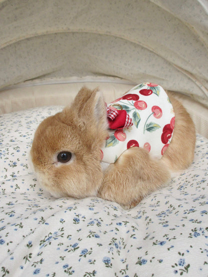 Just Cherry, No Blossom Short Dress, Pet Bunny Dress/ Adjustable Harness