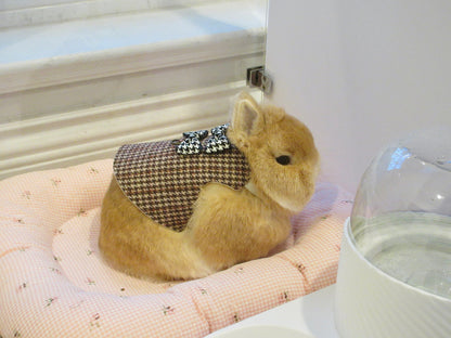 Winter Gentlemen Short Dress, Pet Bunny Dress/ adjustable Harness