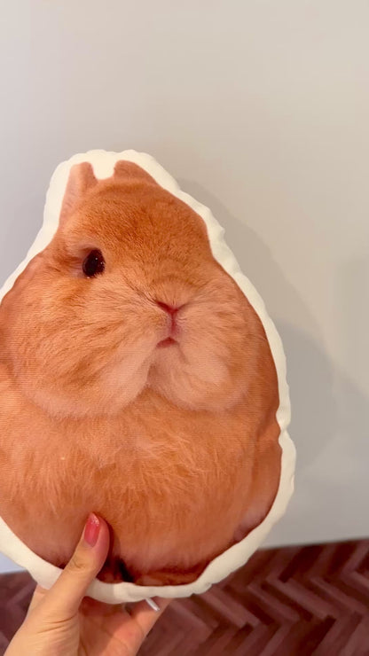 Good Eggie Pillow