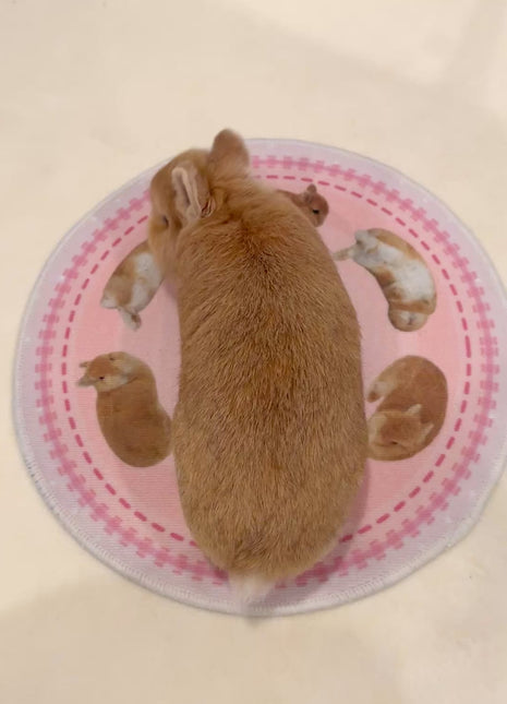 Eggroll Rug Small