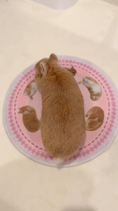 Eggroll Rug Small