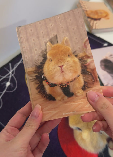 Mystery Eggie Postcard 3.0