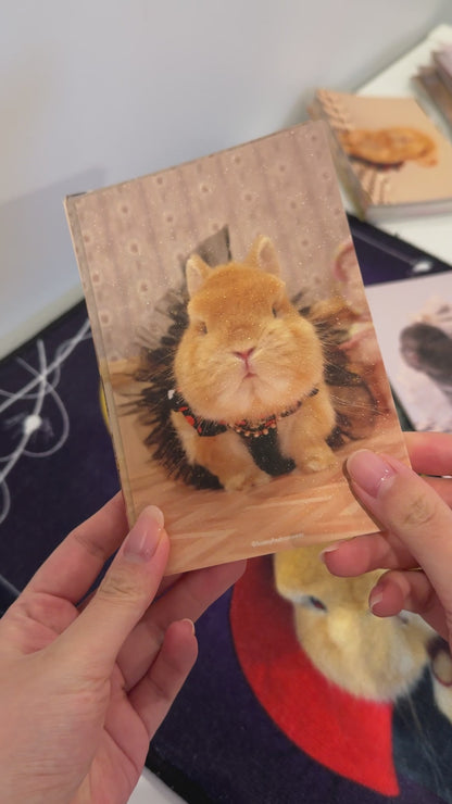 Mystery Eggie Postcard 3.0