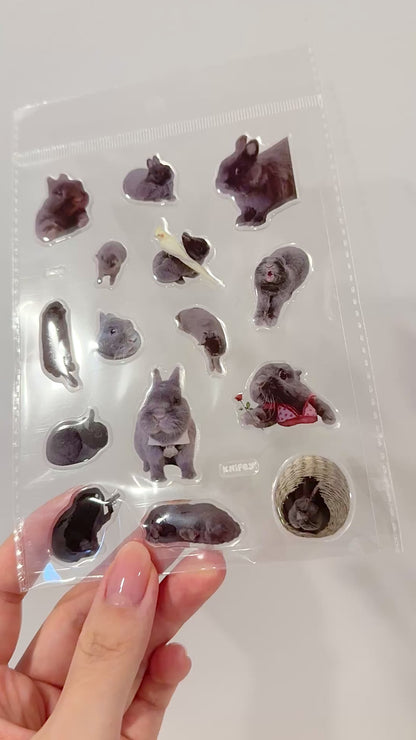 Set of 3 Gel Sticker Sheet
