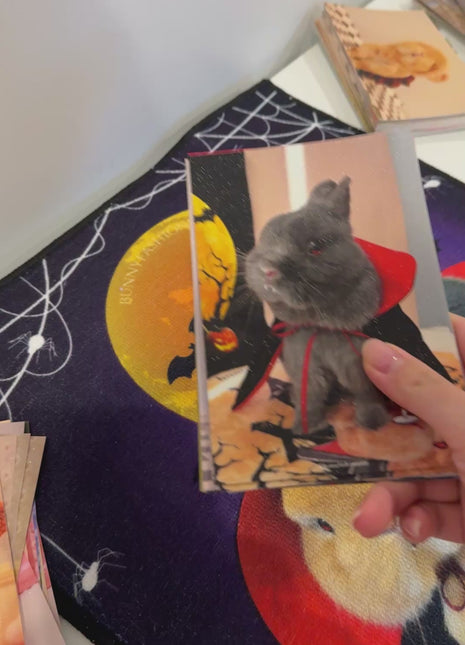Mystery Bobi Postcard 3.0