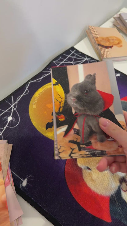 Mystery Bobi Postcard 3.0
